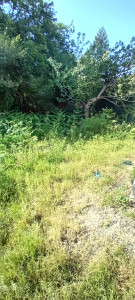 Photo de galerie - Avant