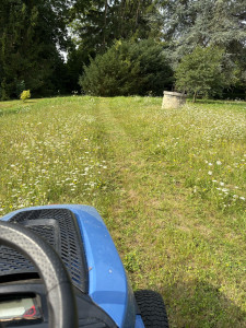 Photo de galerie - Tonte d’un jardin avec auto portée 