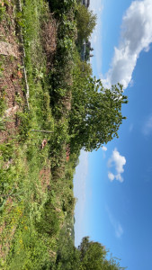 Photo de galerie - Rabais de hais de 1m sur toute la longueur avec évacuation 