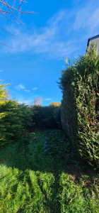 Photo de galerie - Taille de haies et d'arbustes