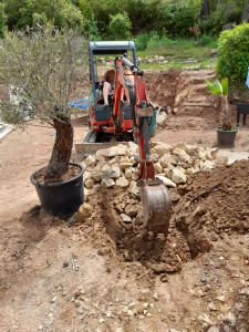 Photo de galerie - Paysagiste - Aménagement du jardin