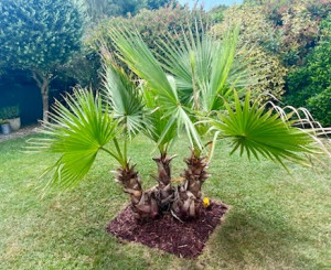 Photo de galerie - Paysagiste - Aménagement du jardin