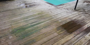 Photo de galerie - Préparation - nettoyage de salle