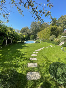 Photo de galerie - Tonte et entretien 