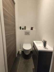 Photo de galerie - Installation wc suspendu et petit lavement