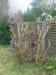 Photo de galerie - Taille 