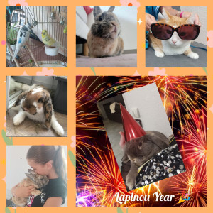 Photo de galerie - .