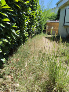 Photo de galerie - Tonte de pelouse - Débroussaillage