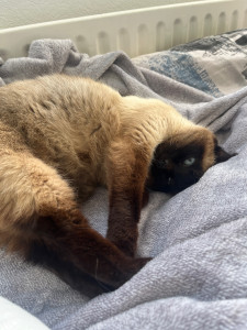 Photo de galerie - .