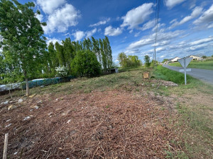 Photo de galerie - Tonte de pelouse - Débroussaillage