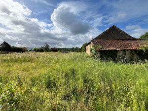 Photo de galerie - 1800m2 de débroussaillage avant 
