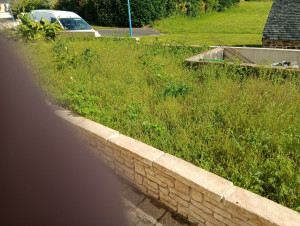 Photo de galerie - Débroussaillage 