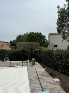 Photo de galerie - Taille 