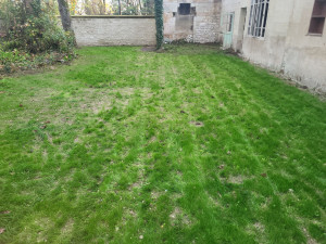 Photo de galerie - Tonte 