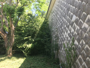 Photo de galerie - Tonte de pelouse - Débroussaillage