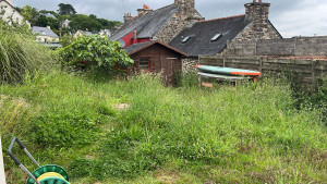 Photo de galerie - Tonte de pelouse - Débroussaillage