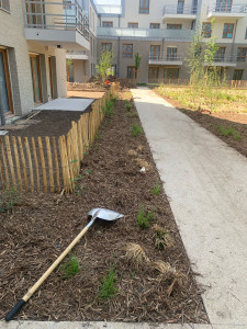 Photo de galerie - Paysagiste - Aménagement du jardin