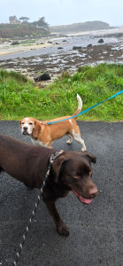 Photo de galerie - Promenade