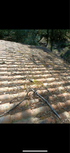 Photo de galerie - Couverture - Toiture