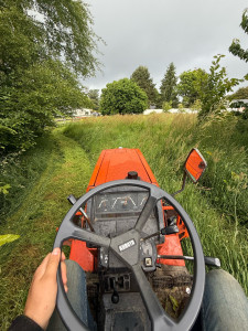 Photo de galerie - Nettoyage d’un terrain 