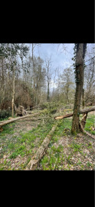 Photo de galerie - Avant 