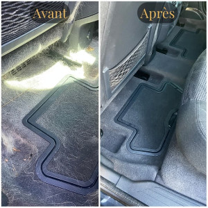 Photo de galerie - Nettoyage sol voiture et poile chien 
