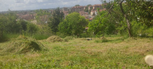 Photo de galerie - Débroussaillage.
