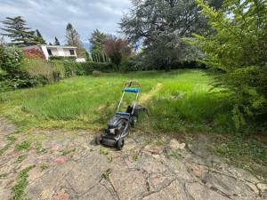 Photo de galerie - Tonte de pelouse - Débroussaillage