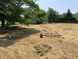 Photo de galerie - Nettoyage 