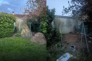 Photo de galerie - Suppression d'une herbe de la pampa 