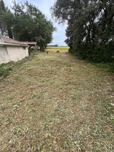 Photo de galerie - Après coupe feu 