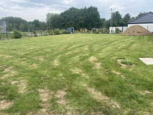 Photo de galerie - Tonte de pelouse