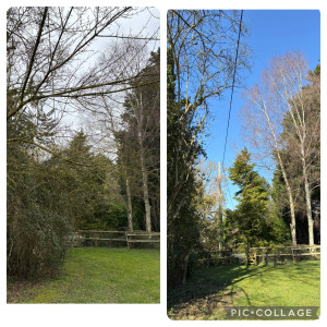 Photo de galerie - Avant et après 