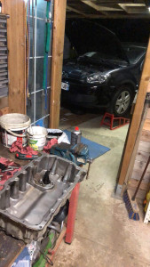 Photo de galerie - .