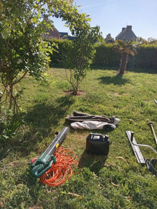 Photo de galerie - Tonte de pelouse - Débroussaillage