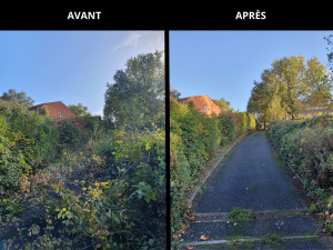 Photo de galerie - Taille de réduction et broyage des rémanents