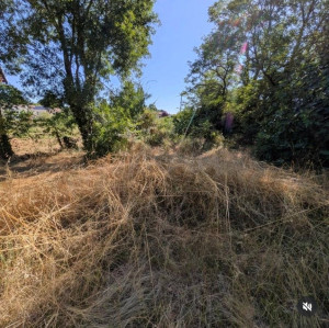 Photo de galerie - Tonte de pelouse - Débroussaillage
