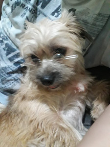 Photo de galerie - Luna