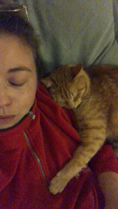 Photo de galerie - Tigrou 