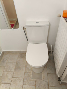 Photo de galerie - Remplacement wc 