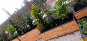 Photo de galerie - Création jardinière en bois sur une terrasse en hauteur avec éclairage, arrosage automatique et plantations des arbustes .