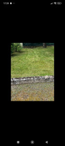 Photo de galerie - Tondre 