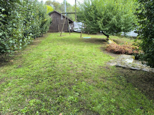 Photo de galerie - Après la tonte 
