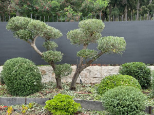 Photo de galerie - Paysagiste - Aménagement du jardin