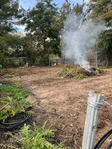 Photo de galerie - Nettoyage jardin