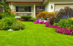 Photo de galerie - Sais le jardin le plus facile 