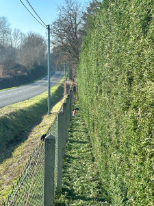 Photo de galerie - Après 