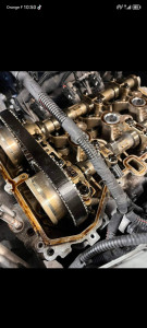 Photo de galerie - Courroie distribution 