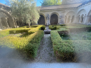 Photo de galerie - Taille de haies et d'arbustes