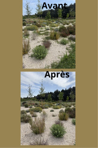 Photo de galerie - Jardinier